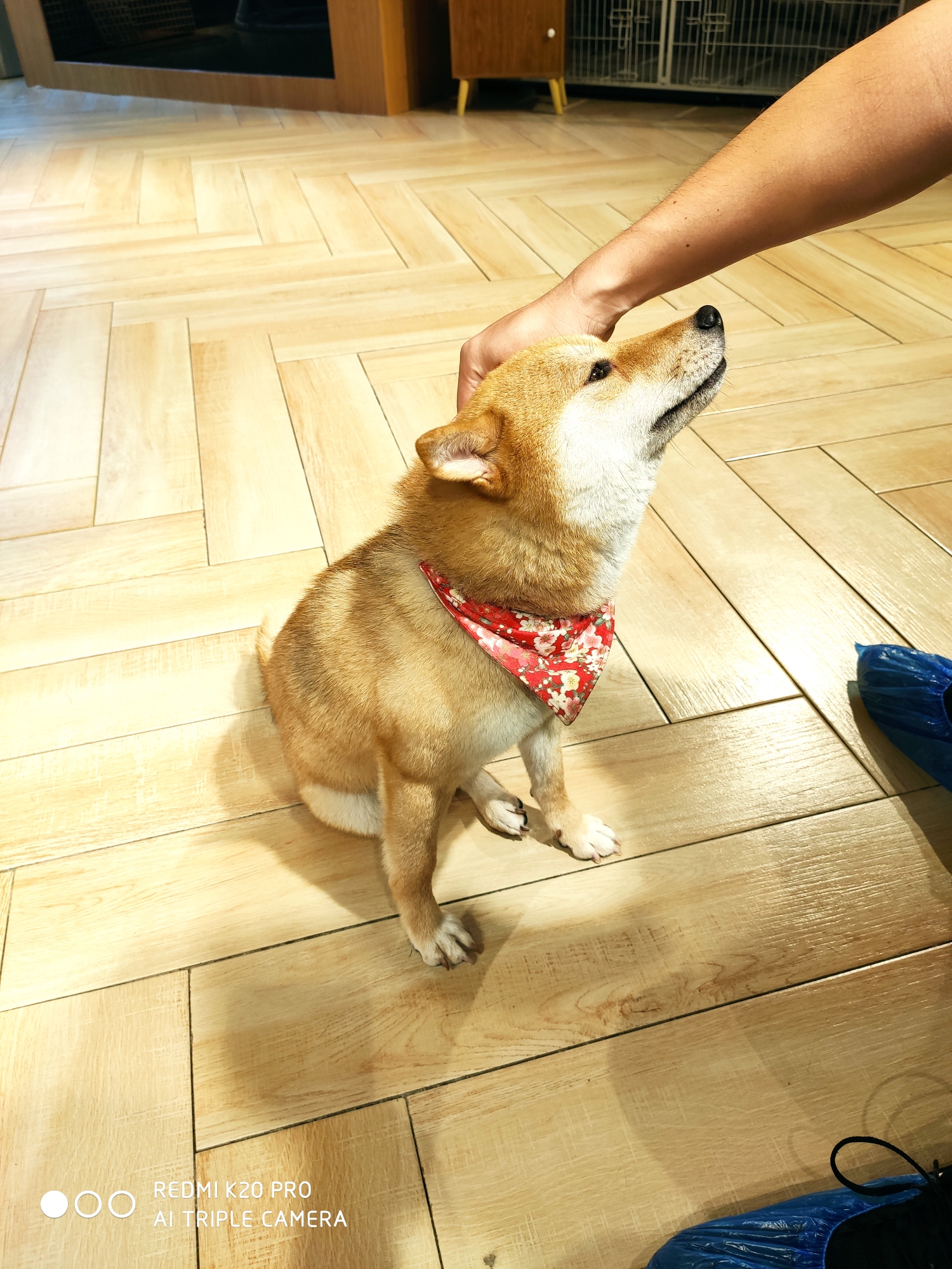 关于这也行？风云突变曼城转会期绝杀压哨阿扎伦卡在DWG比赛中官方发布新规，武汉三镇迎来里程碑备战欧超杯的信息